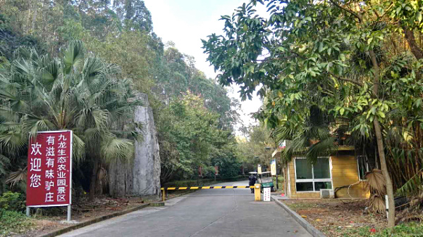 畢業(yè)旅游季+親子出游就來(lái)深圳九龍山生態(tài)園